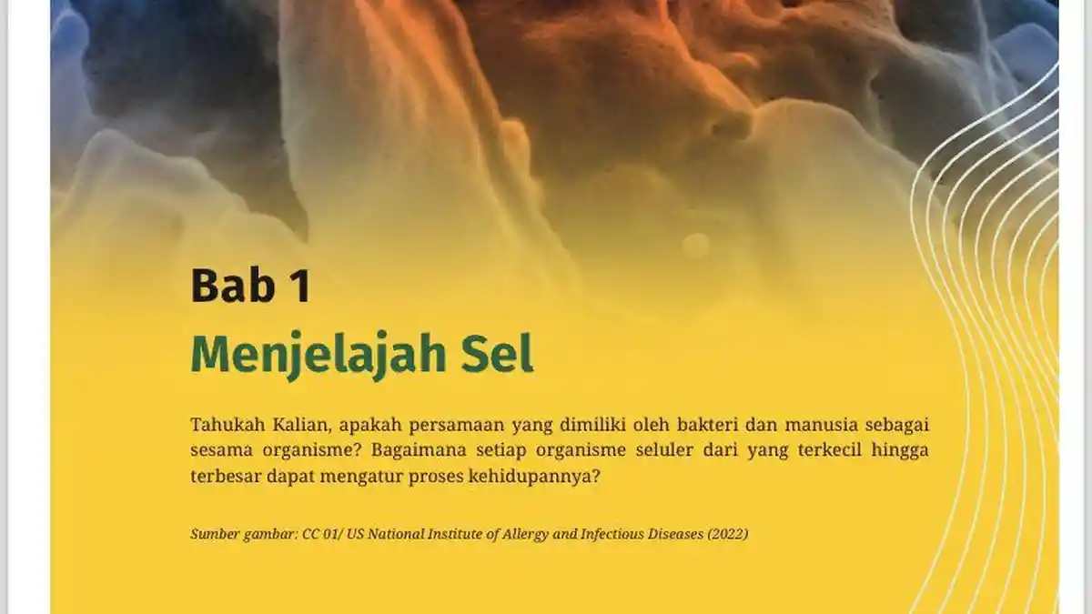 Penjelasan Materi Biologi Kelas 11 Bab 1: Menjelajah Sel