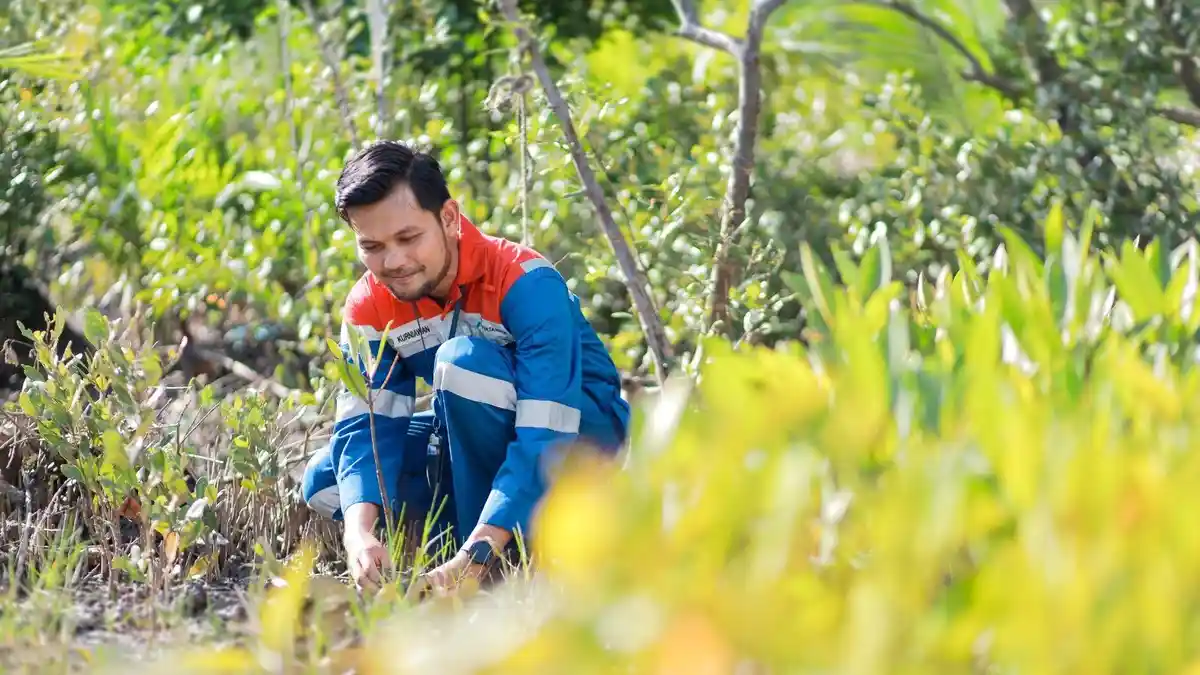 Hutan Lestari Pertamina: dari Menjaga Alam hingga Menyejahterakan Masyarakat