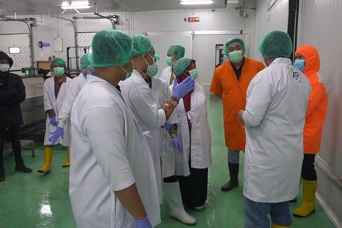 DPRD Kudus Terima Aduan Dugaan Praktik Penyembelihan Hewan Tak Syar'i, Sidak  Perusahaan Pemotongan