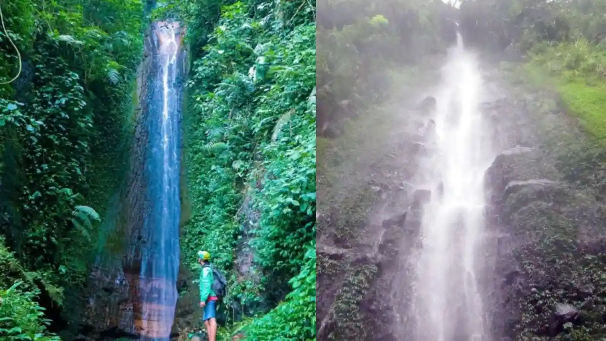 Mengintip Pesona Curug Beret Bogor, Tempat Wisata dengan Keindahan Alami yang Jarang Ditemukan