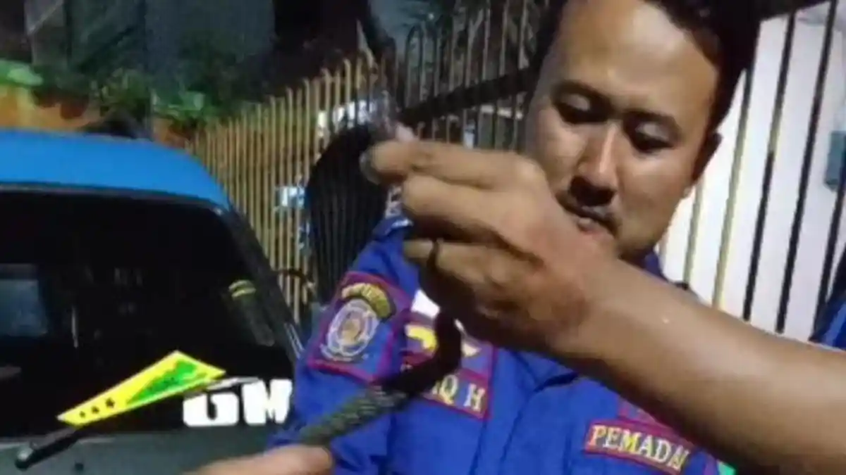Asyik Berkendara, Pemuda di Malang Kaget Muncul Ular dari Bodi Sepeda Motor