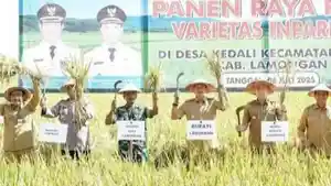 Produksi-padi-di-Lamongan-masih-yang-tertinggi-di-Jawa-Timur-Selasa-872025.jpg