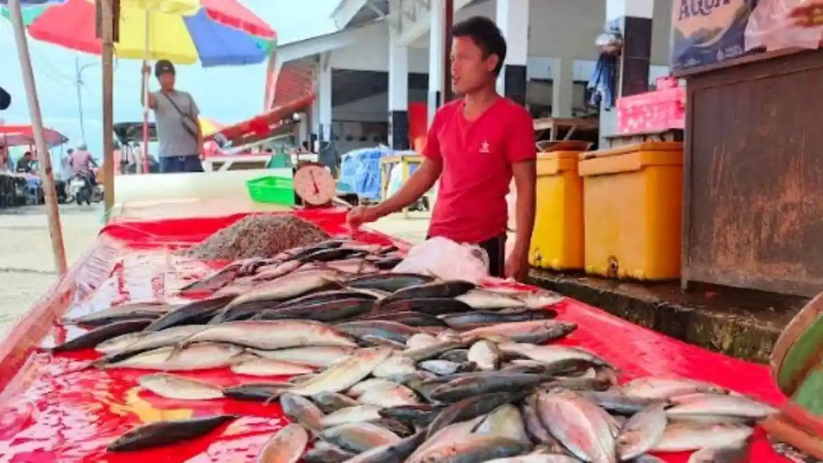 Harga Ikan di TPI Tenda Kota Gorontalo Masih Tinggi, Pembeli Sampai Kurangi Jumlah Belanja