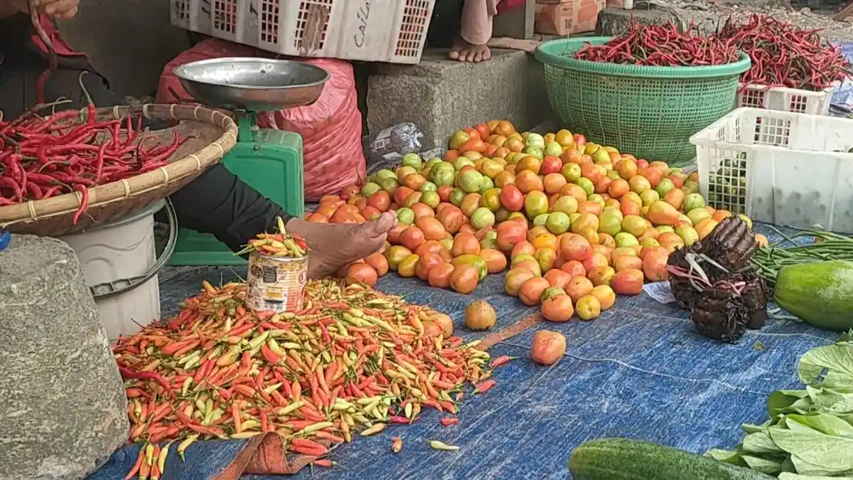 Pasca Idul Adha, Harga Cabai dan Tomat di Masohi Maluku Tengah Turun Harga