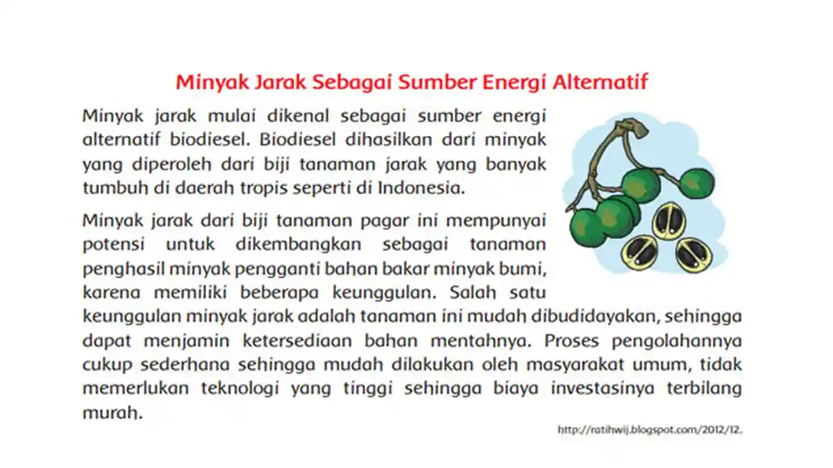 Jelaskan Manfaat dari Tanaman Jarak? Kunci Jawaban Tema 2 Kelas 4 Halaman 96 97 98 99 100 101