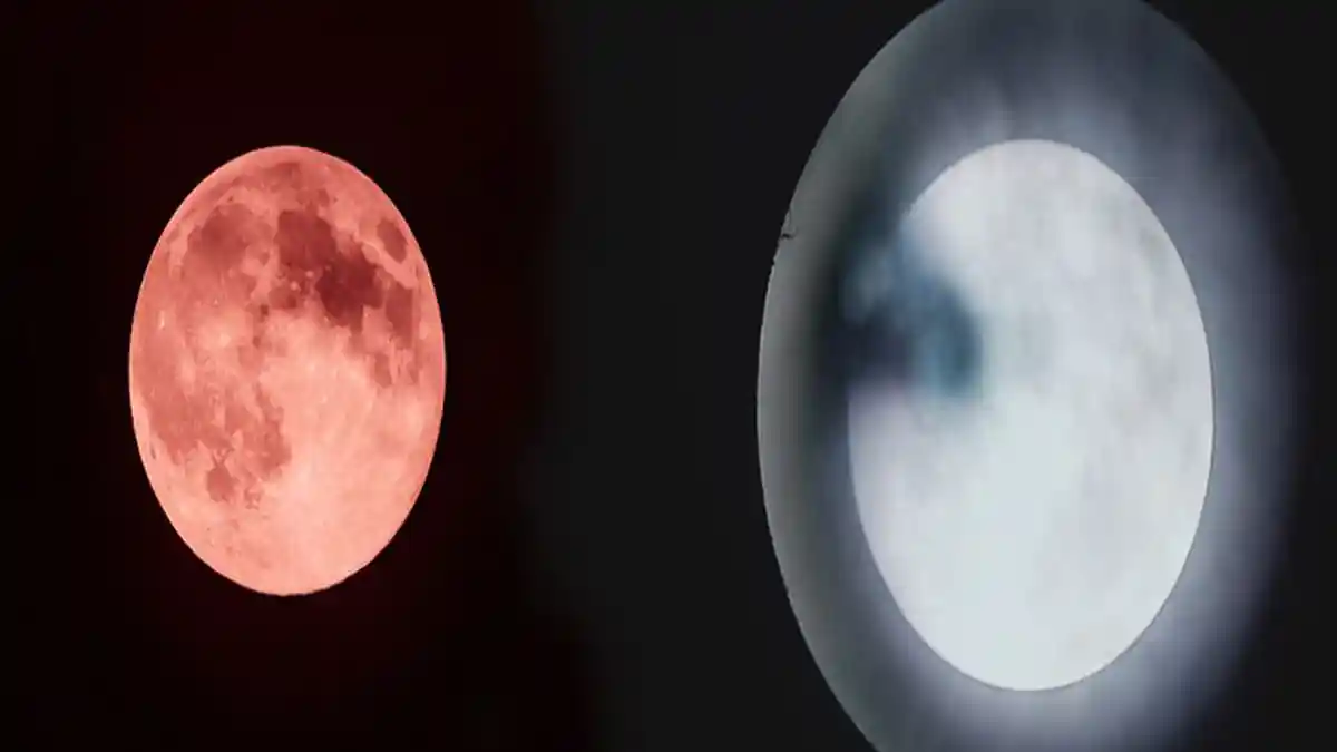 GERHANA Bulan Penumbra & Bulan Purnama Strawberry Sabtu Subuh, Seluruh Wilayah Indonesia Bisa Lihat