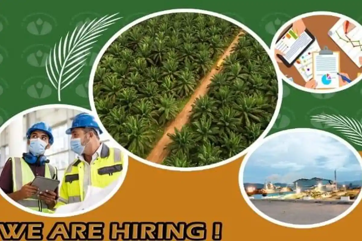 Lowongan Kerja Konawe Selatan PT Merbaujaya Indahraya Rekrutmen Mandor, Lokasi Penempatan