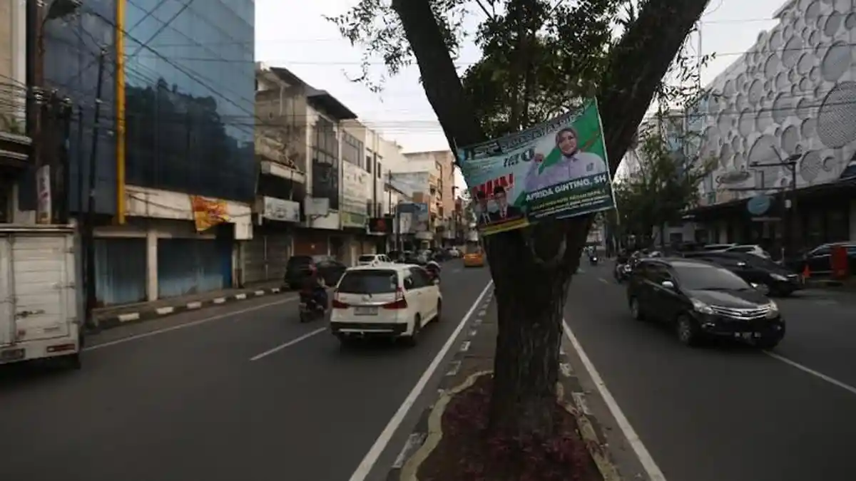 Baliho Kampanye Dipaku di Pohon, Bawaslu Sumut Minta Satpol PP Bongkar