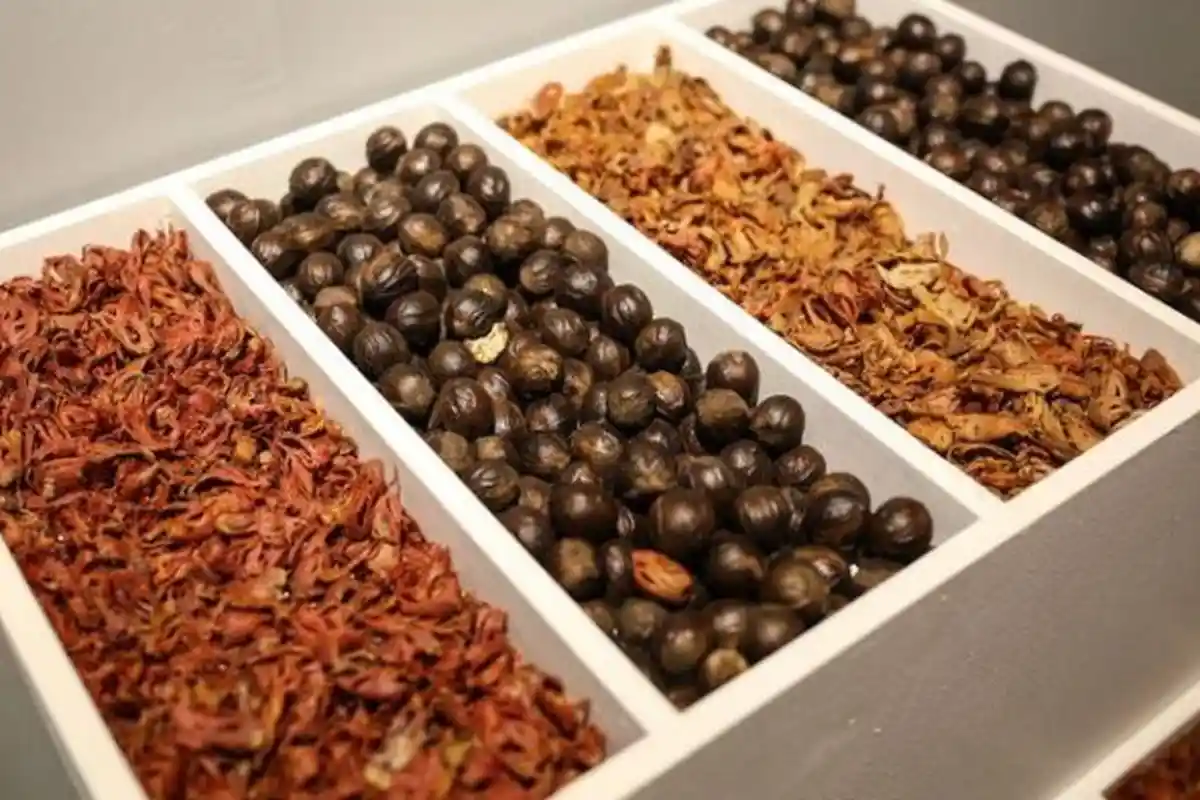 Harga Pala di Abdya Anjlok, Sudah Berlangsung Lima Bulan