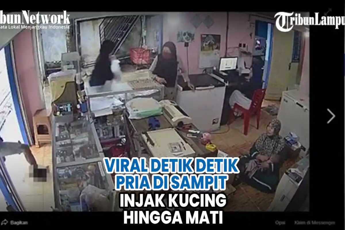 VIDEO Viral Detik-detik Pria di Sampit Injak Kucing sampai Mati