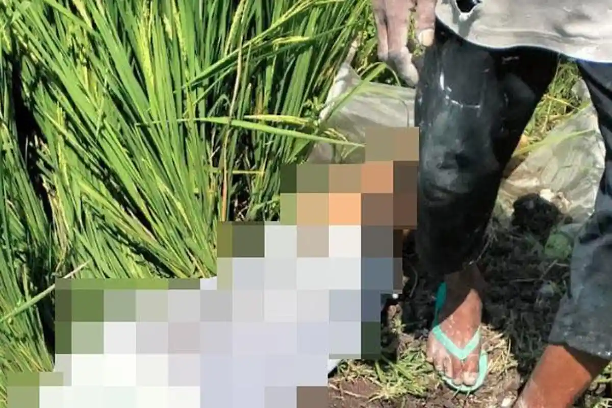 Hendak Perbaiki Sumur Sibel, Petani di Bojonegoro Tewas Tersengat Listrik