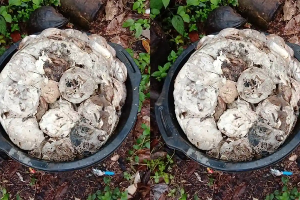 Harga Karet Sumsel Rabu 16 Desember 2020, Kadar 40 Persen Rp 7.448 per kg