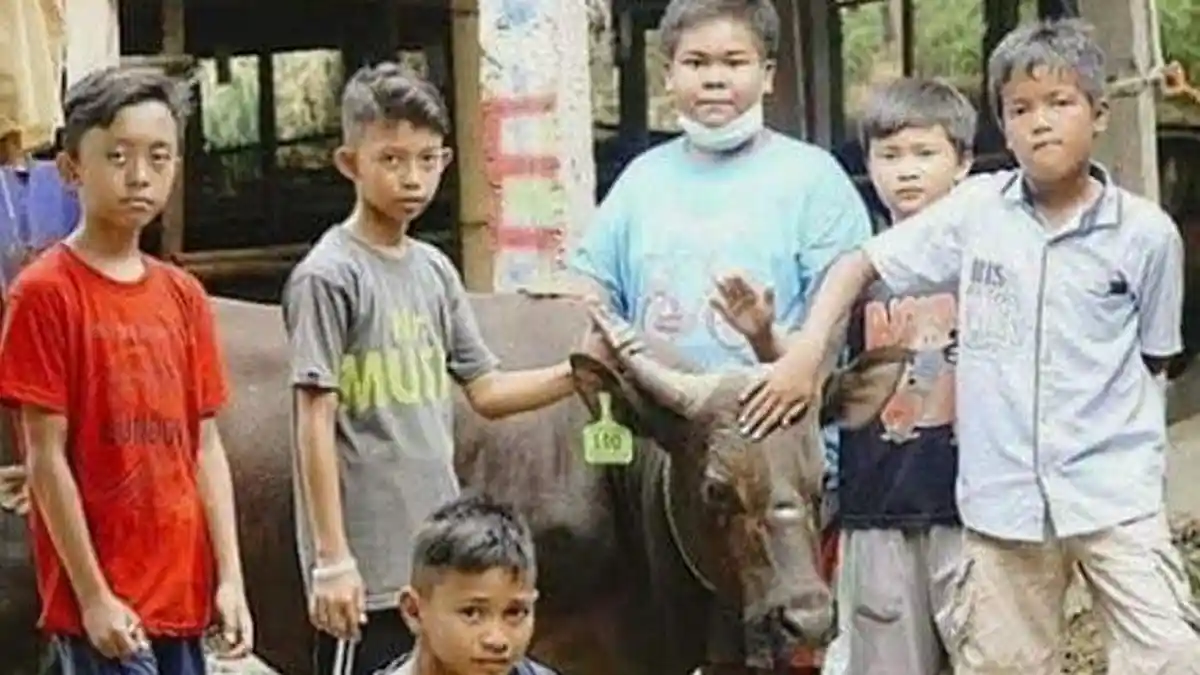 7 Bocah Ini Beli Hewan Kurban Seharga Rp 19,5 Juta, Ternyata Dapat Uangnya dengan Cara Begini
