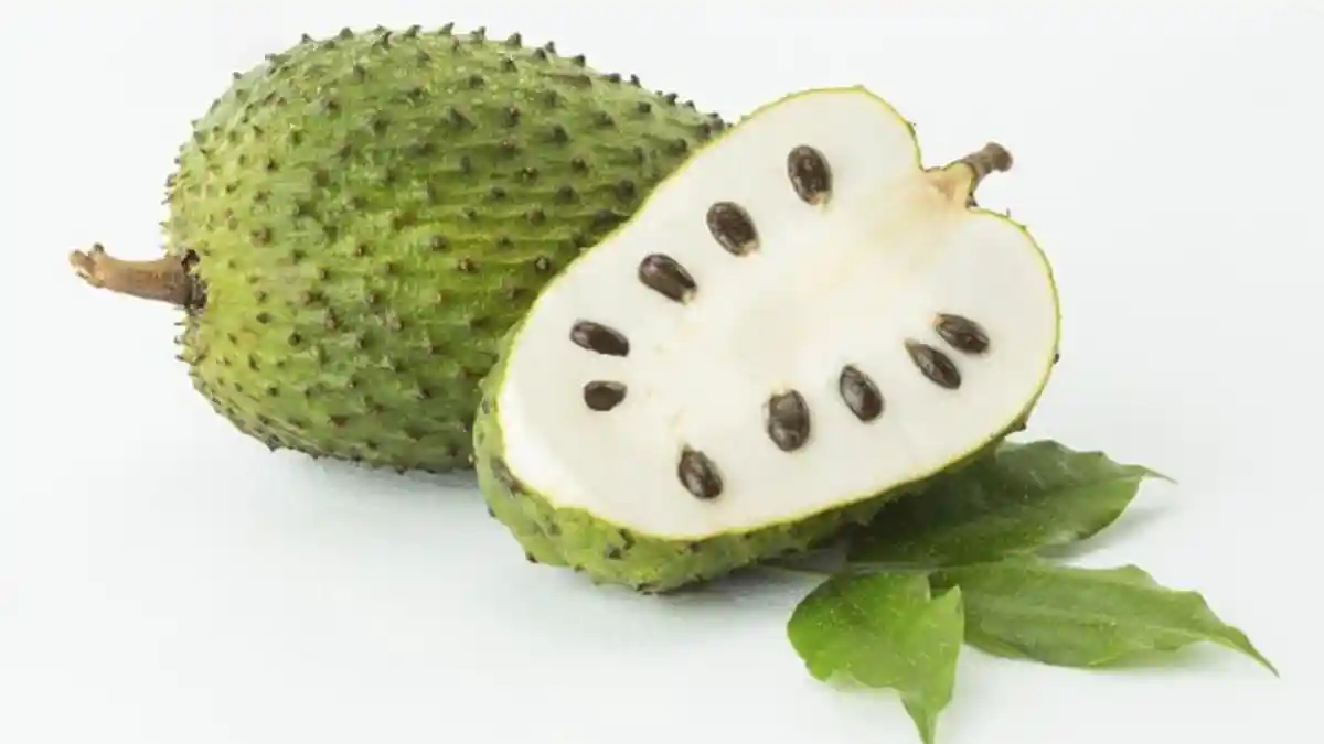 3 Khasiat Buah Sirsak Bagi Kesehatan, No 3 Bisa Obati Penyakit Paling Mematikan Di Dunia!