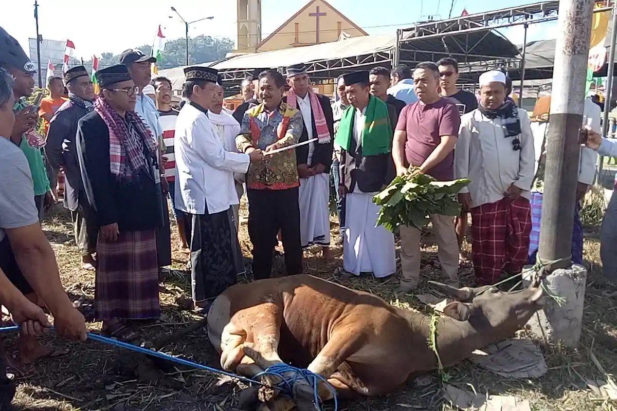 Begini Maknanya Idul Adha Berkurban Bukan Soal Banyak Jumlah dan Besarnya Hewan