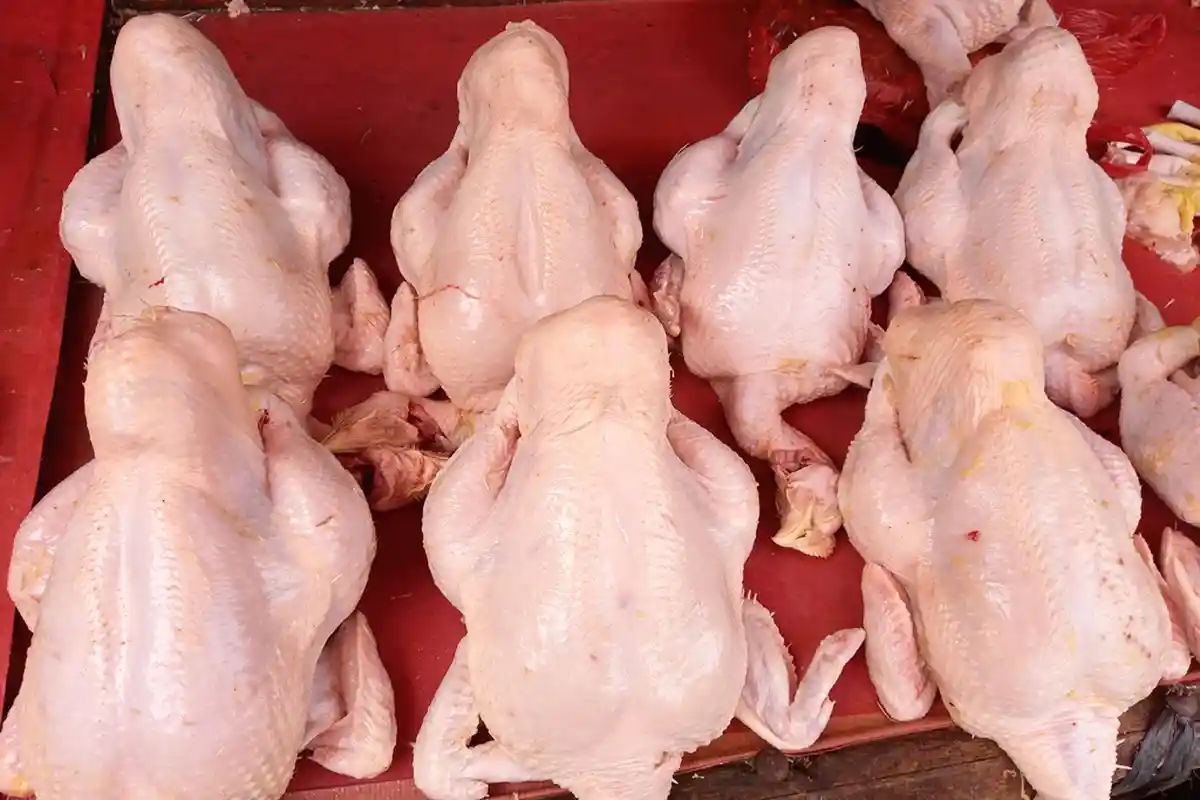 Jelang Libur Nataru, Harga Ayam di Bandar Lampung Diperkirakan Naik Rp 5.000
