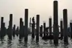 Perkembangan Pembangunan Pelabuhan New Tanjung Priok