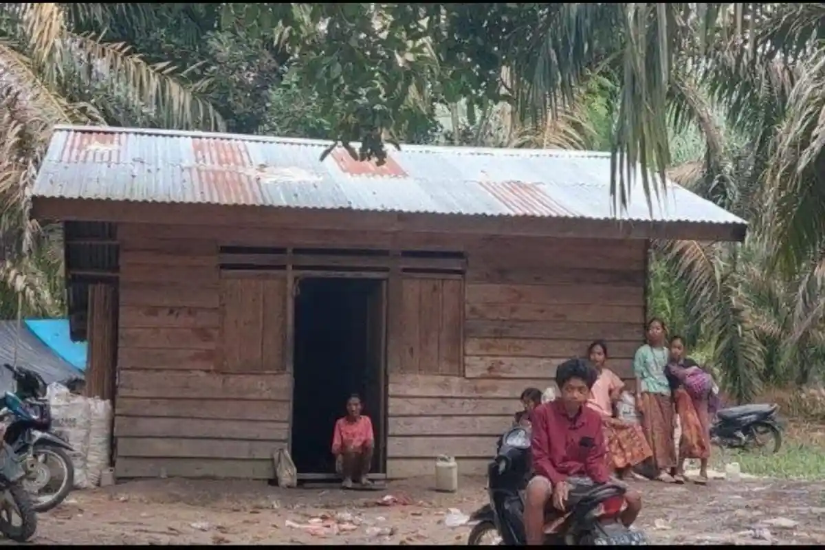 Ratusan SAD di Tebo Sudah Dicoklit