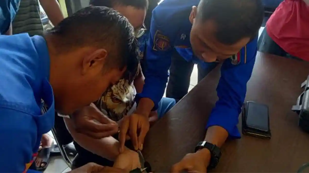 Petugas Damkar Bantu Lepas Cincin Pemberian Mantan di Jari Manis Pemuda Pringsewu