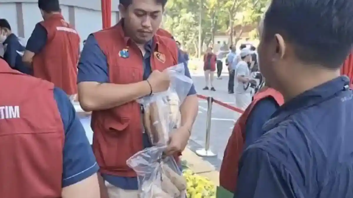 Siasat Jemaah Umrah Seludupkan 53 Potong Gading Gajah dari Arab, Kini Terancam 10 Tahum Penjara