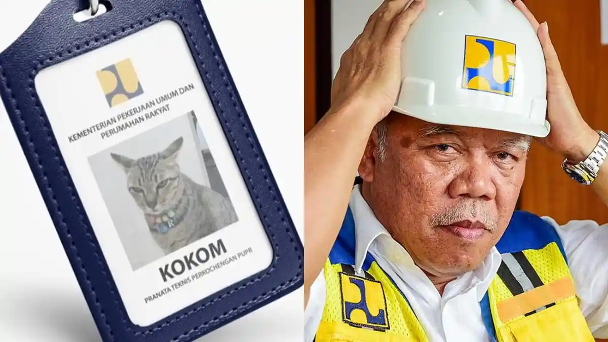 Kokom Si Kucing Kementerian PUPR yang Trending di Twitter, Tak Kalah Populer dari Pak Bas