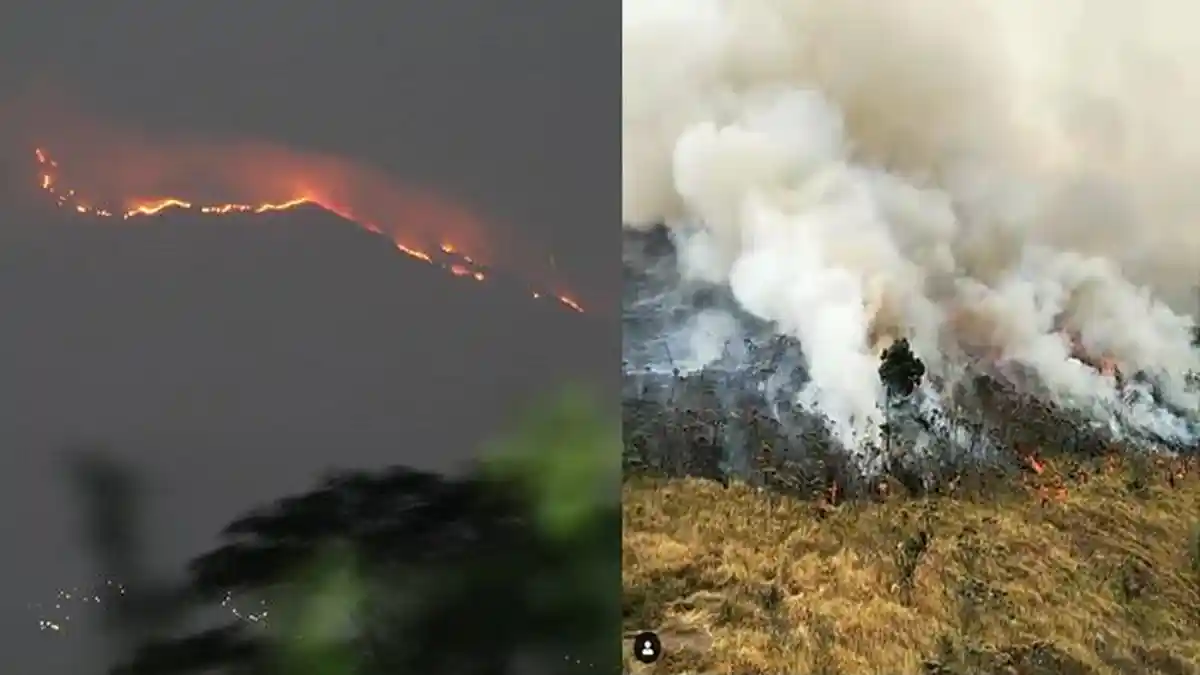UPDATE Video Kebakaran Merbabu - Api Menjalar sampai Pos 2 Jalur Selo Jumat Siang