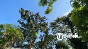LAngit-cerah-345.jpg