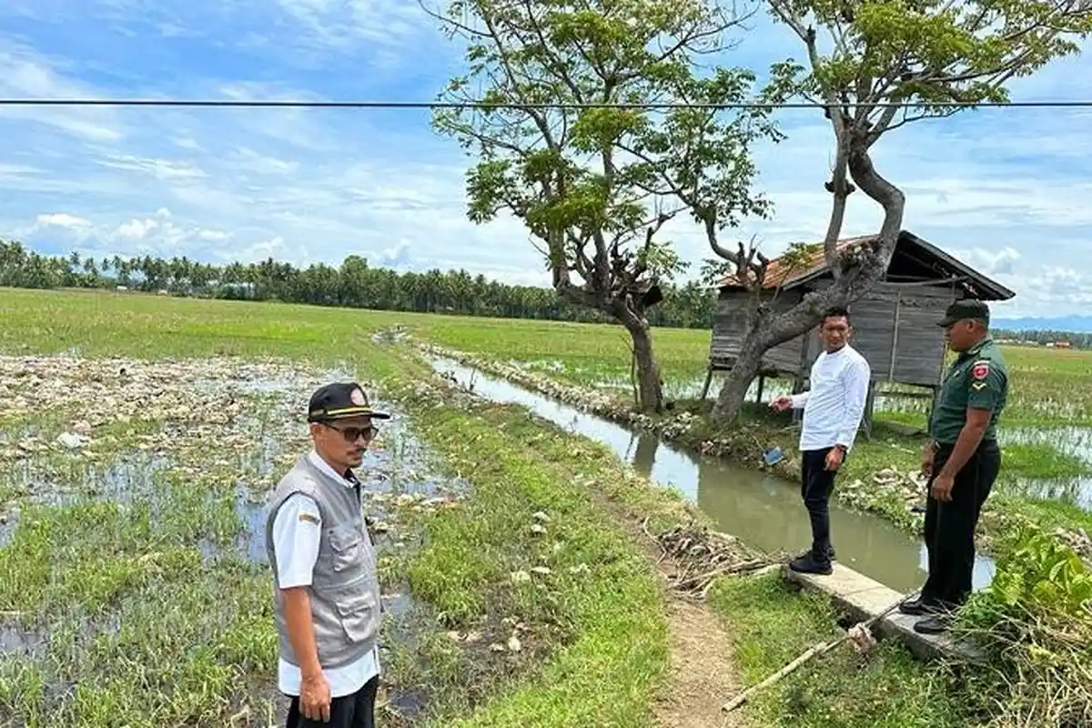 Sawah Warga Desa Nepo Polman Tercemar Sampah Mengalir di Irigasi