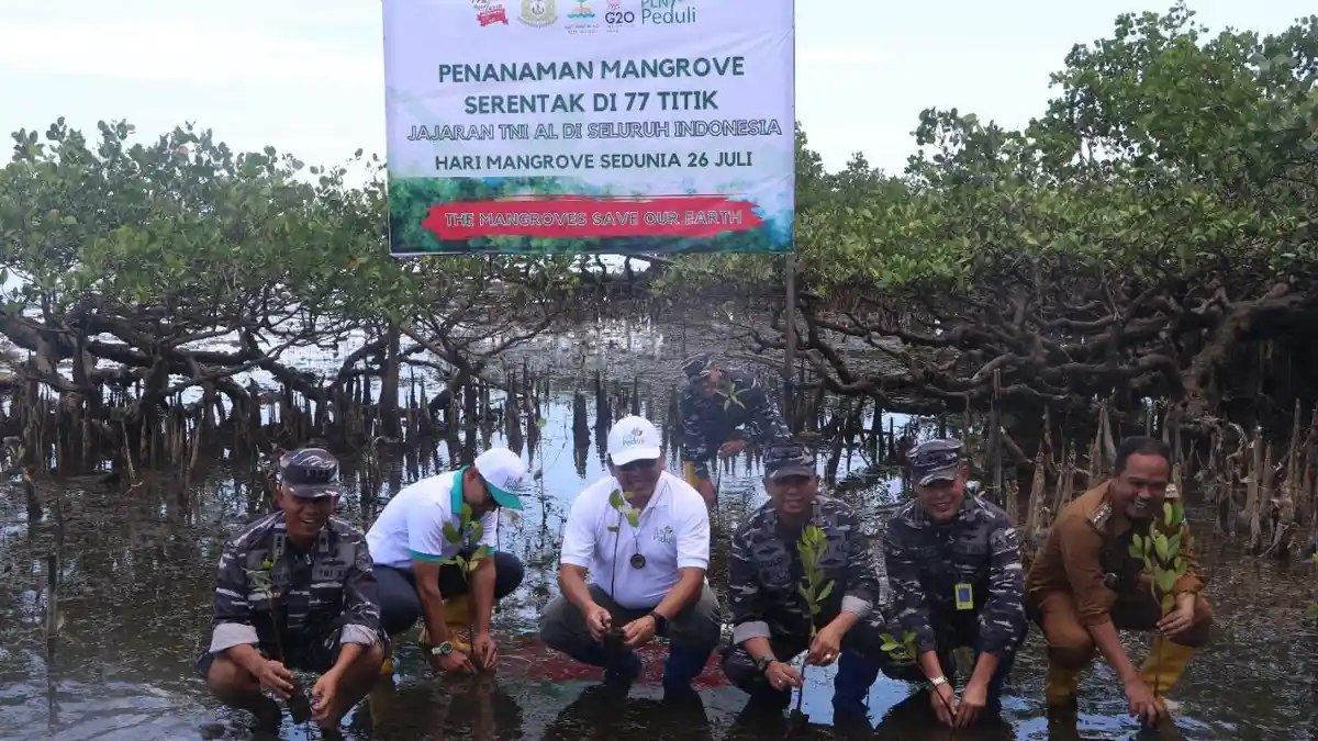 Peringati Hari Mangrove Sedunia, PLN Dukung TNI AL Cetak Rekor Dunia