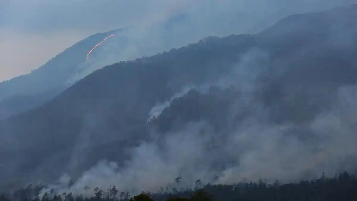 ALHAMDULILLAH! Kebakaran Gunung Merbabu Sudah Padam Berkat Hujan