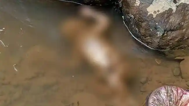 Bayi Baru Lahir Dibuang di Pinggir Jalan Daan Mogot Jakarta Barat, Polisi Selidiki