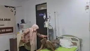 20260514-TRANSFUSI-DARAH-Suasana-proses-transfusi-darah-yang-dilakukan-para-pasien.jpg