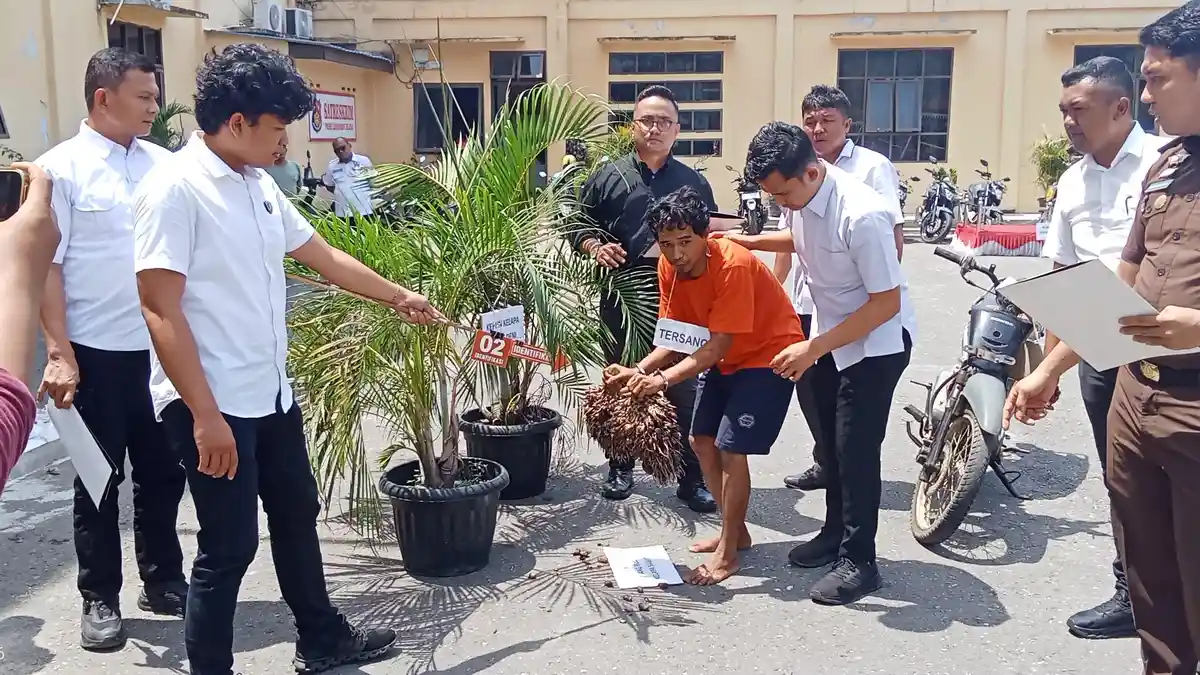Rekonstruksi Pembunuhan Penjaga Kebun Sawit di Labusel, Pelaku Sempat Bersujud ke Korban