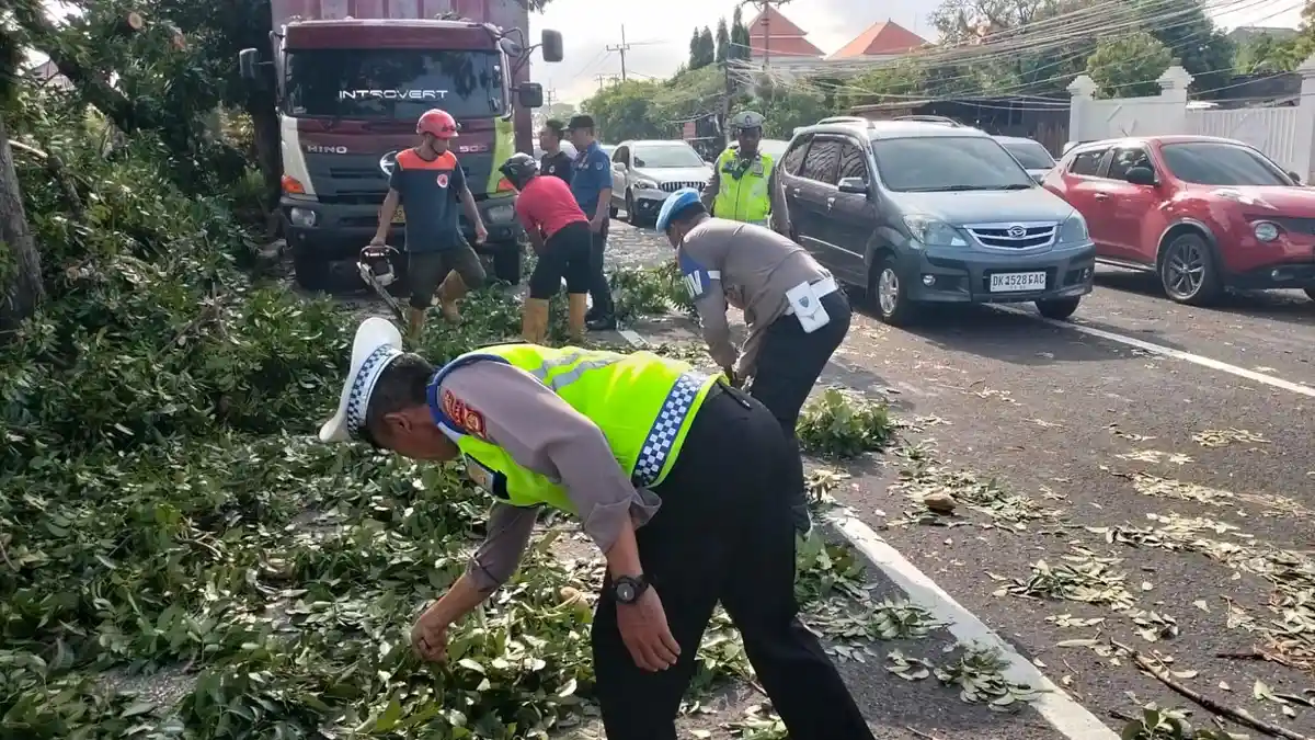 Truk Kontainer Hantam Pohon Hingga Roboh Timpa 2 Mobil dan 1 Motor, 1 Korban Dilarikan ke RS