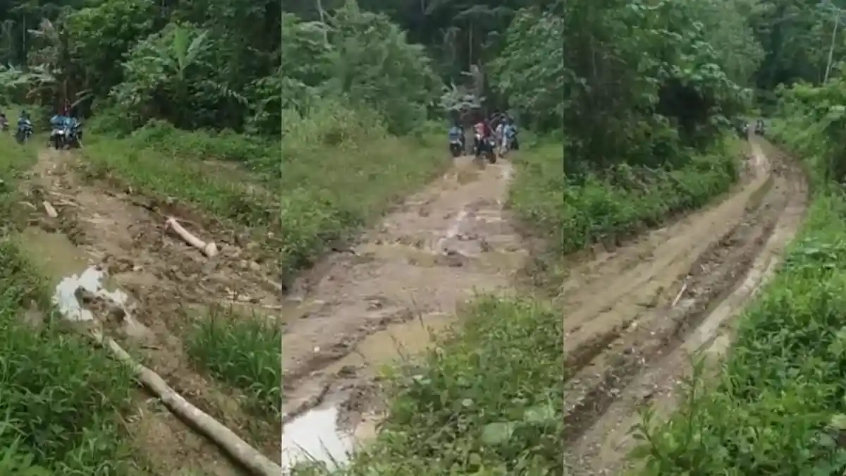 Tak Pernah Tersentuh Aspal, Beginilah Kondisi Jalan di Solea Maluku Tengah