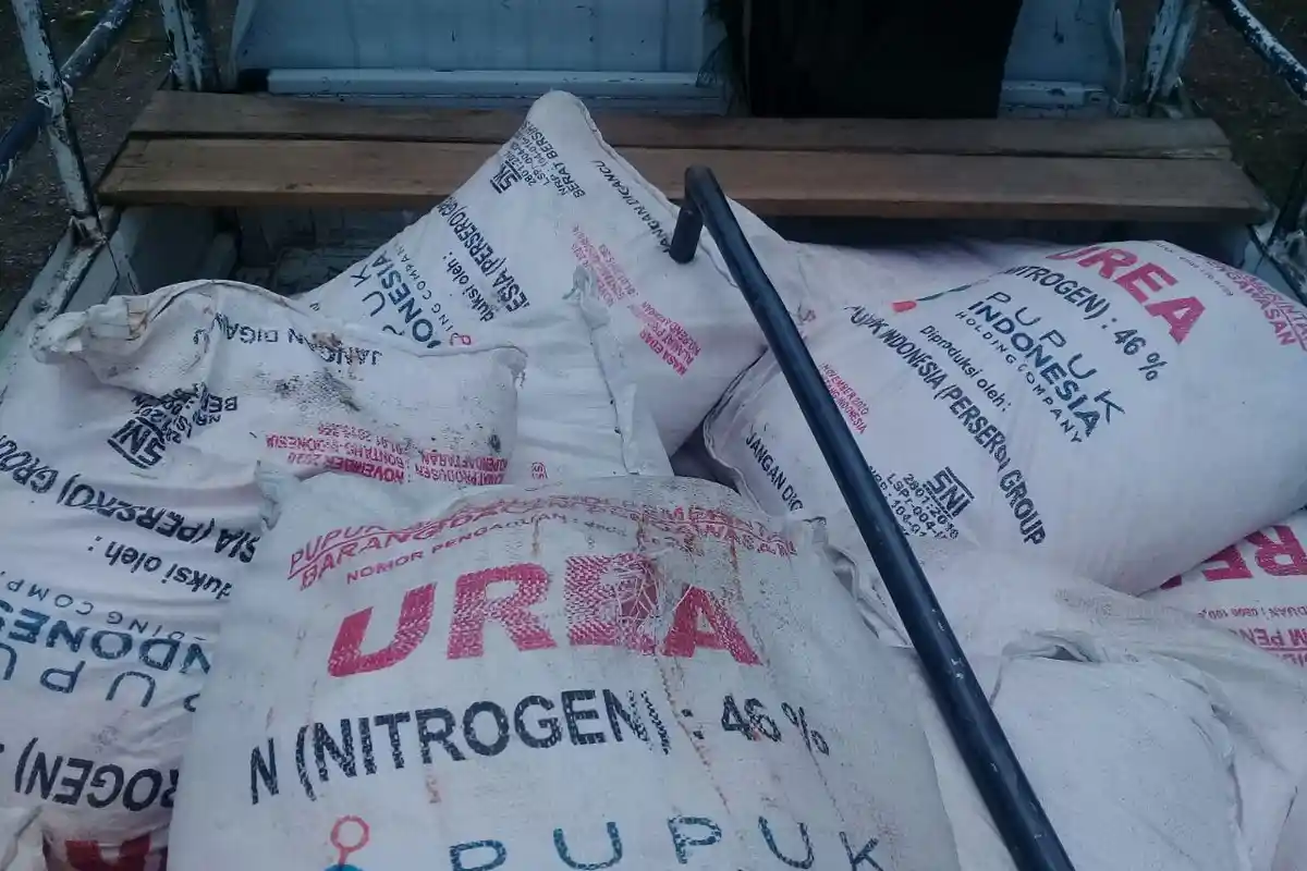 Pupuk Subsidi Langka, Petani Desa Paan Leleng Datangi Kantor Bupati Matim