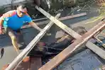 Heboh Sapi Masuk Sungai di Surabaya, Dievakuasi dalam Kondisi Lemas
