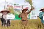 Lindungi 1.200 Hektare Sawah, Pemkab Kutim Alokasikan Rp 00 Juta untuk Asuransi Petani di APBD 2026