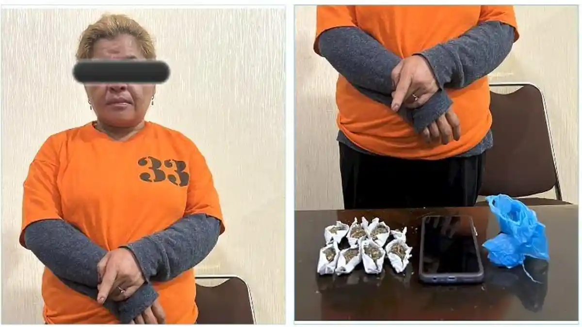 Jual Ganja di Pasar Lama, Seorang Ibu Rumah Tangga di Berastagi Diciduk Satreskoba Polres Tanah Karo