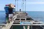 Jembatan Desa Gela Taliabu Rusak Parah, Bertahun-tahun Tak Diperbaiki