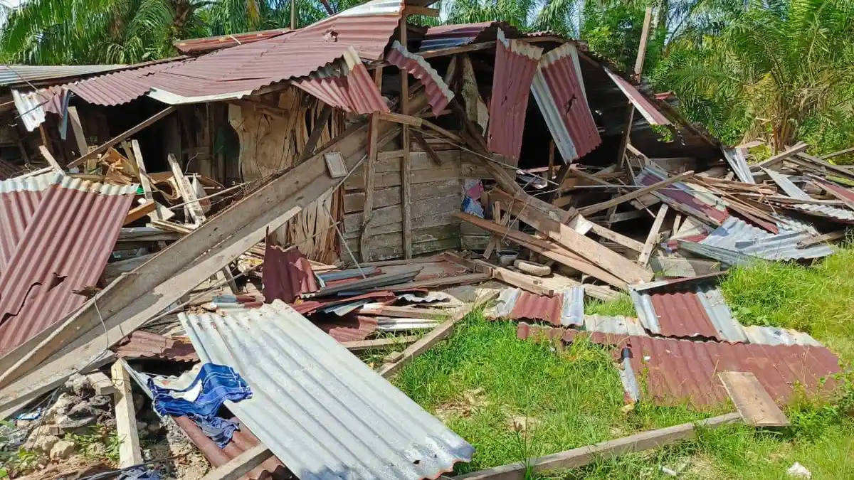 Kadus di Langkat Dijemput Paksa Usai Tolak Keras Alih Fungsi Hutan Lindung, Tangan Diikat