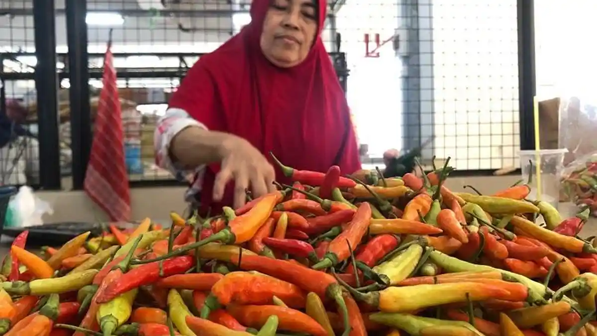 Warga Semarang Dibikin Syok, Awal Maret 2024 Harga Cabai Tembus Rp 110 Ribu