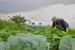 Brimob Sosialisasi di Barak Pengungsi Merapi