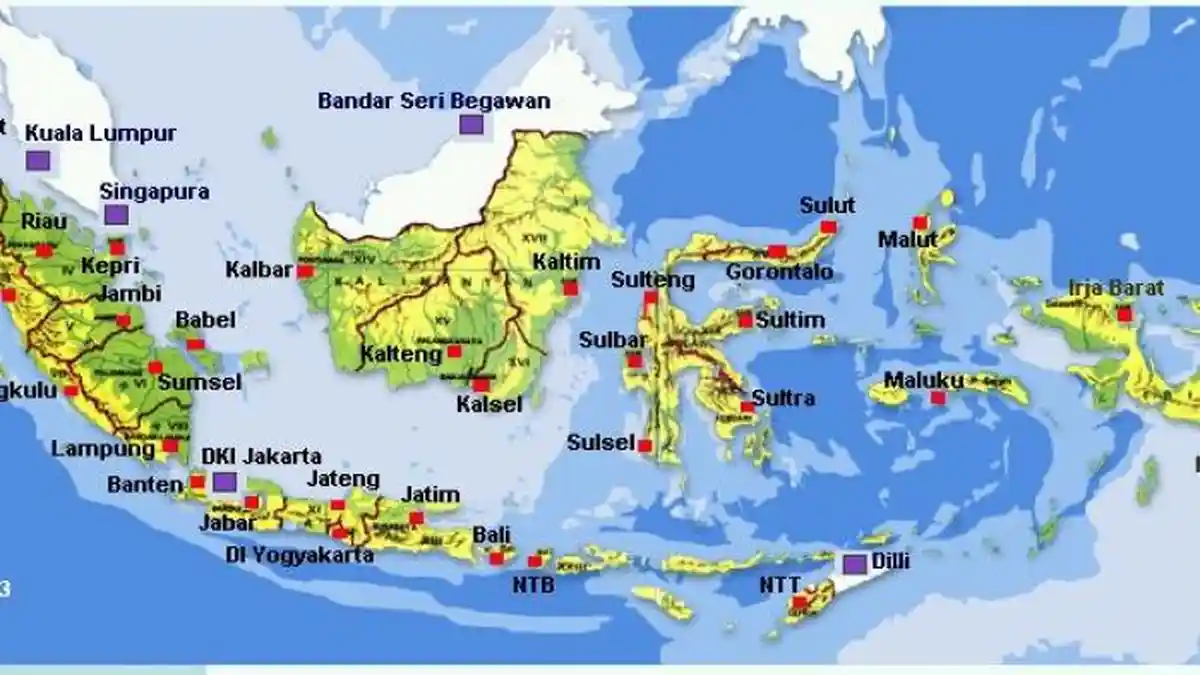 Apa Itu Nii? Arti nii yang Dicari Warganet