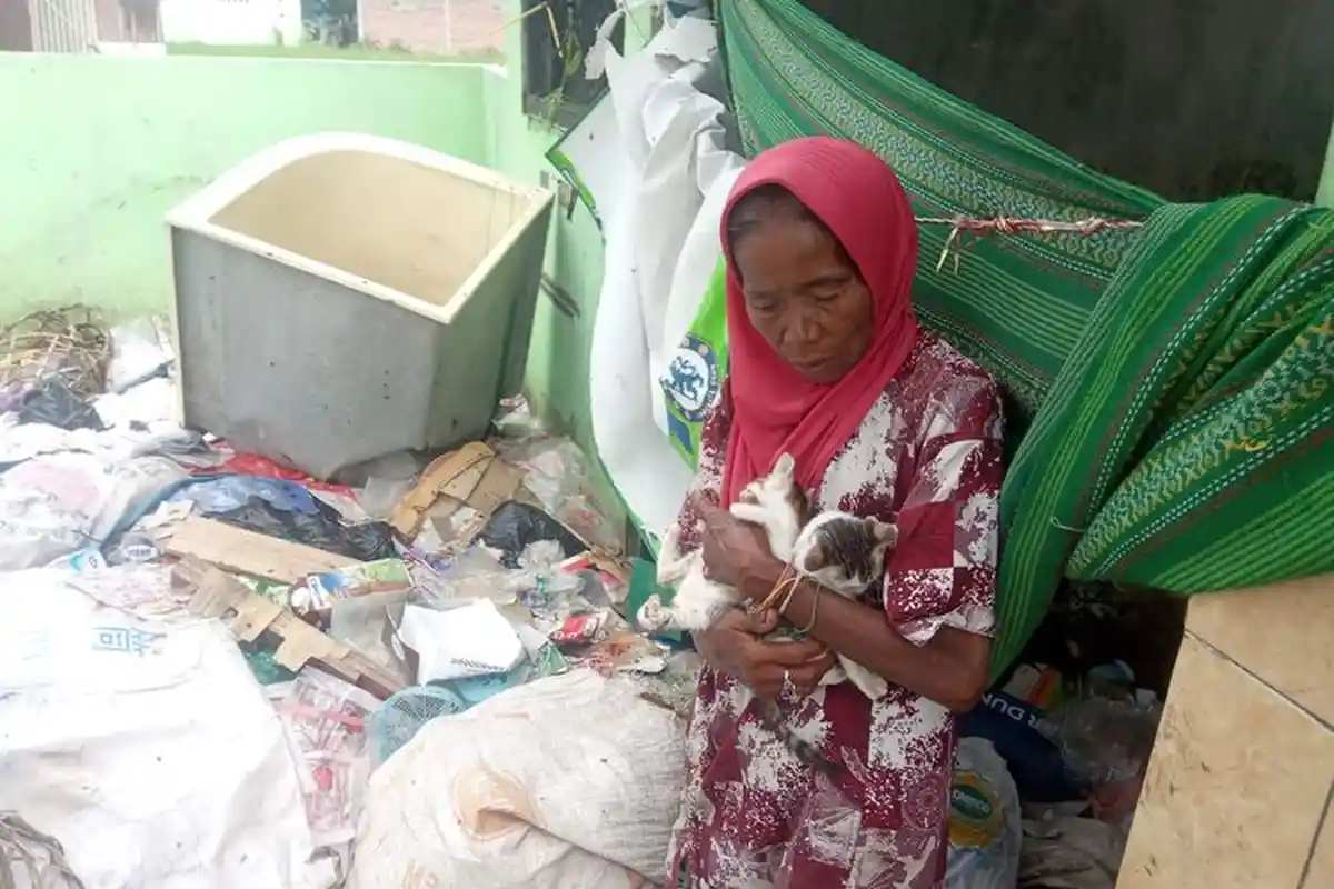 Cerita Nenek Jumirah, Tinggal di Pembuangan Sampah demi Rawat Puluhan Kucing, Sempat Dimaki Orang