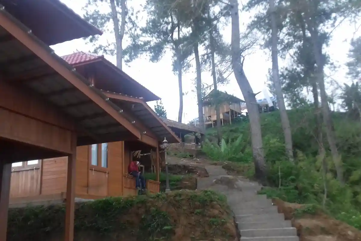 Penginapan Standar VIP Hadir di To' Tombi, Negeri di Atas Awan