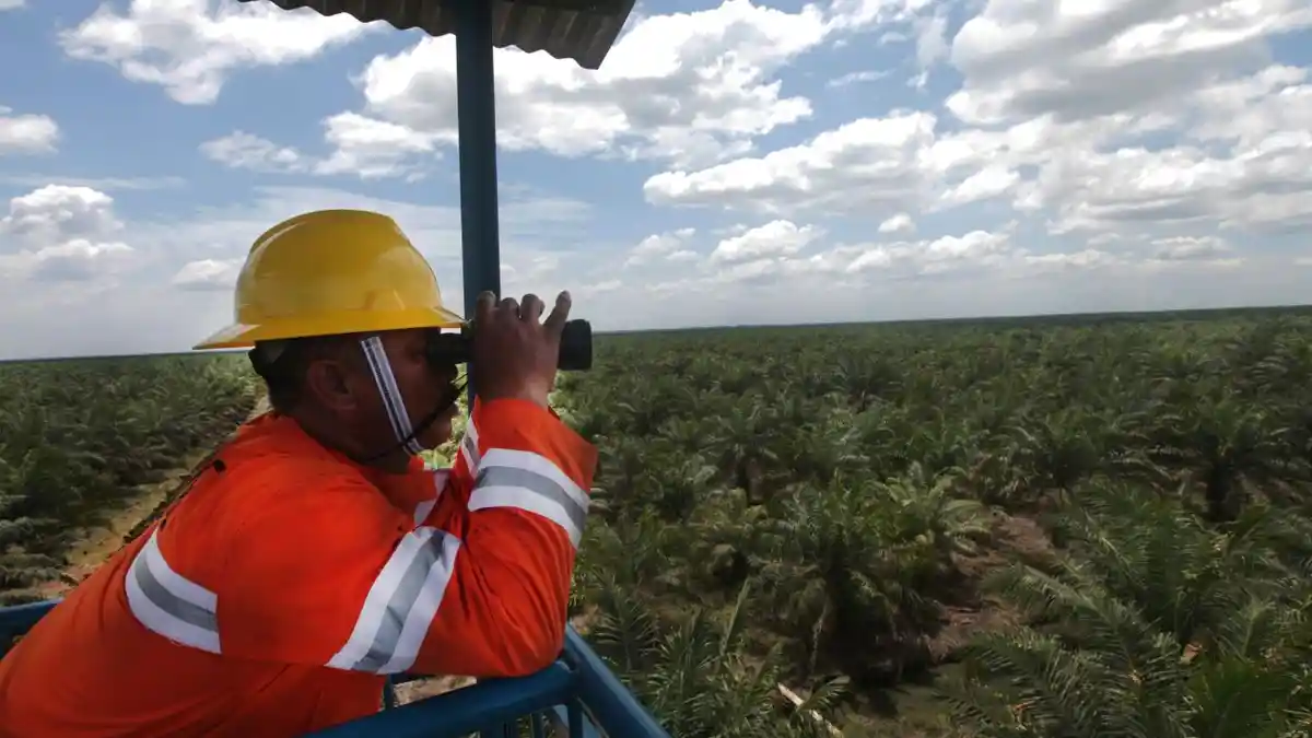 Bangun Menara Pengawas Api, Asian Agri Ajak Warga Desa Cegah Kebakaran Lahan