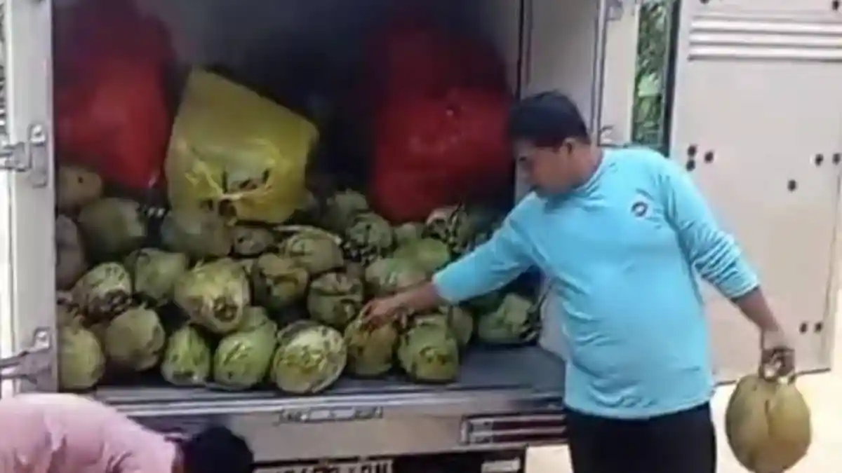 Penjelasan SPPG Soal Viral Menu MBG Kelapa Muda di Pamekasan, Ternyata 1 Butir untuk 2 Hari