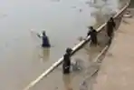 Dengan Jaring Warga Menangkap Ikan di Kali Cisadane