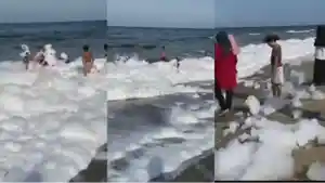 Viral-banyak-buih-muncul-di-pesisir-pantai-Tohia-Gunungsitoli-Kamis-05102023.jpg
